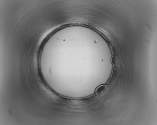 X0000113911120200910151412