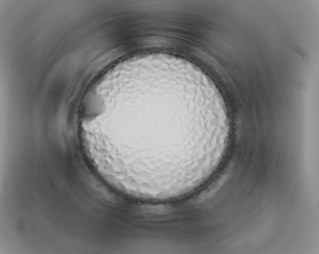 X0000113911121200910151412