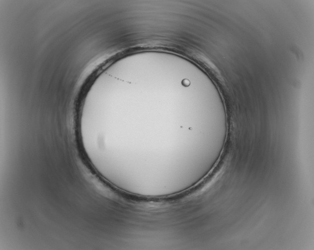 X0000113911122200910151412