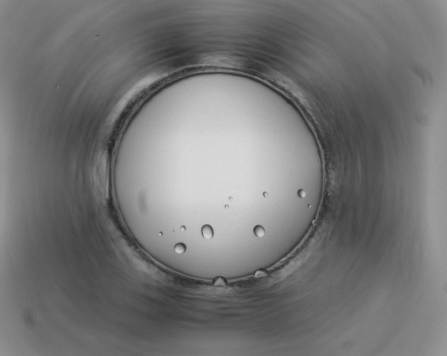 X0000113911123200910151412