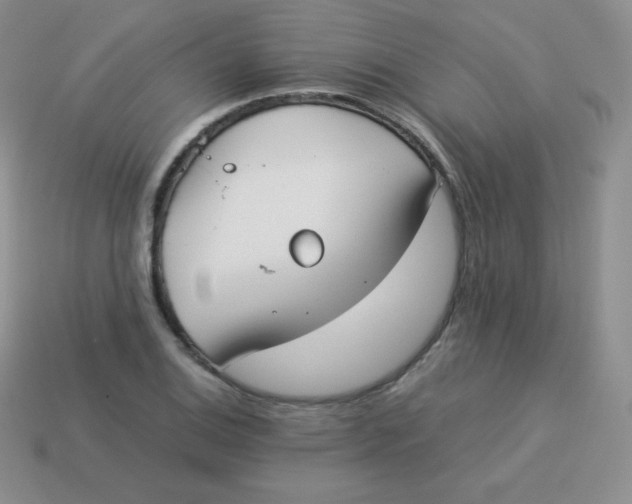 X0000113911124200910151412