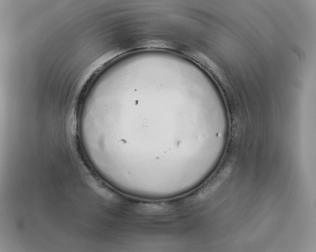 X0000113911125200910151412