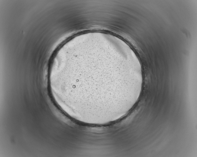 X0000113911126200910151412