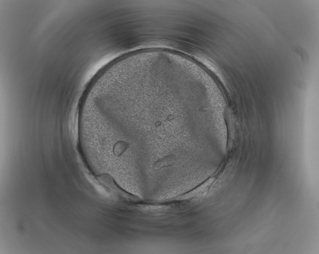 X0000113911127200910151412