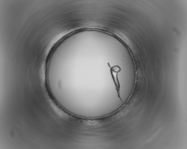 X0000113911128200910151412