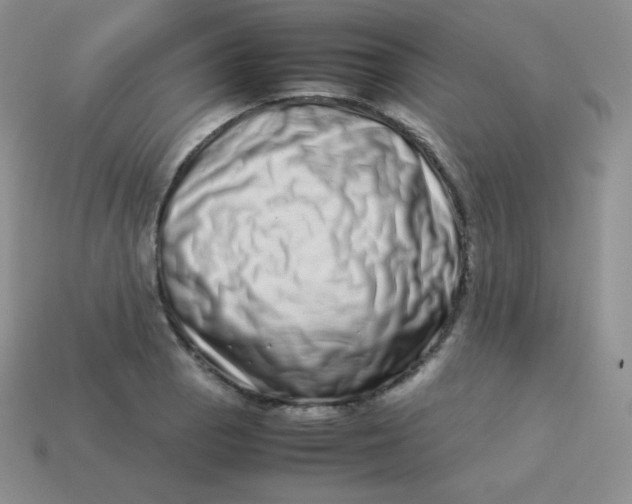 X0000113911129200910151412