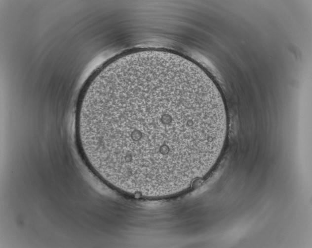 X0000113911130200910151412