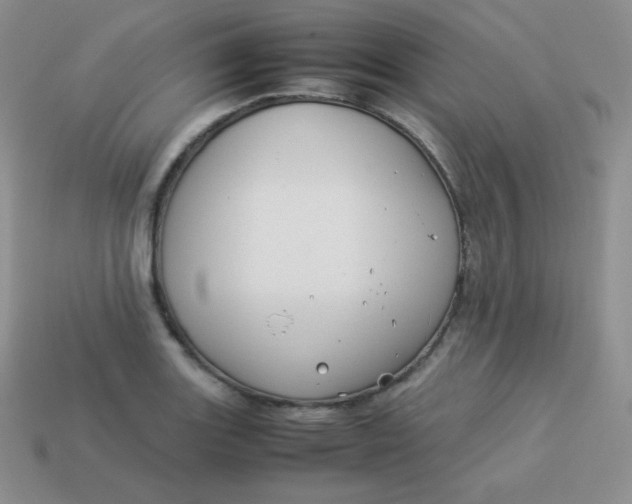 X0000113911131200910151412