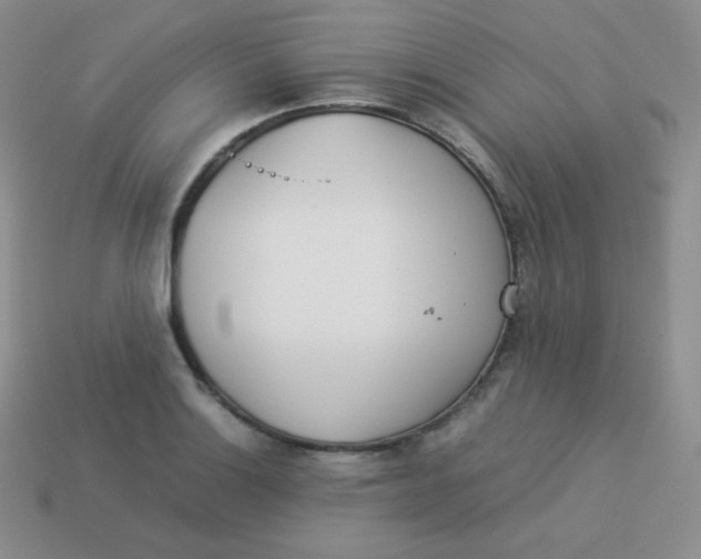 X0000113911132200910151412