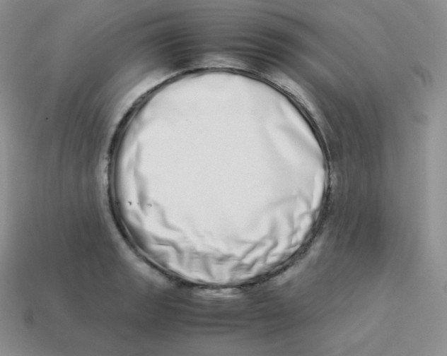 X0000113911133200910151412