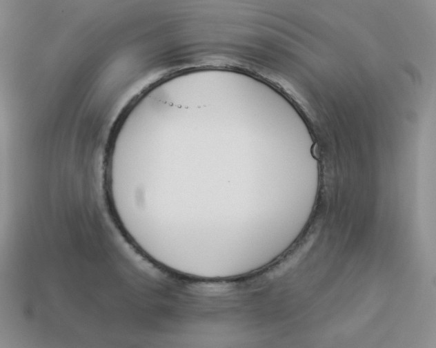 X0000113911134200910151412