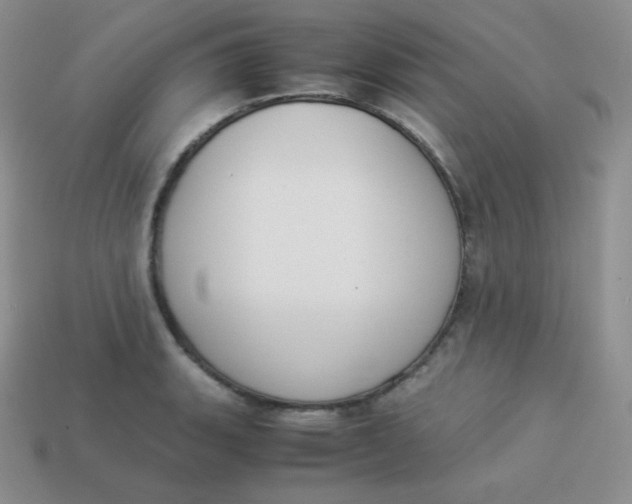 X0000113911135200910151412