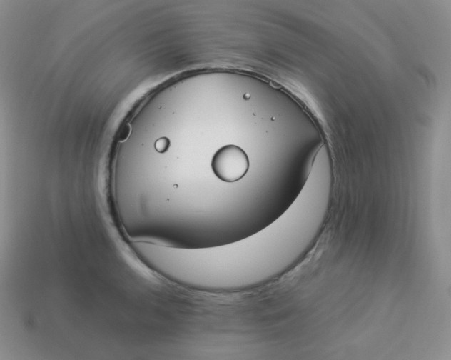 X0000113911136200910151412