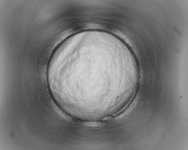 X0000113911137200910151412