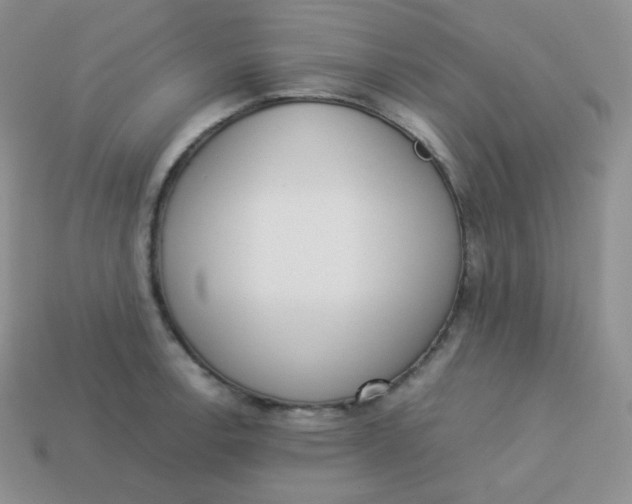 X0000113911138200910151412