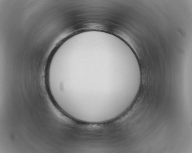 X0000113911139200910151412