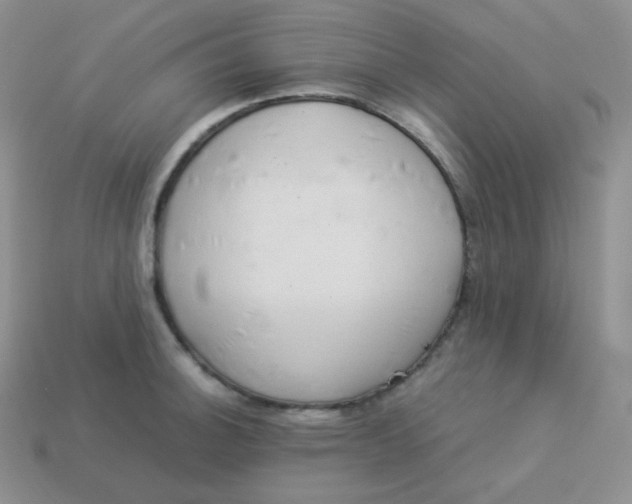 X0000113911140200910151412