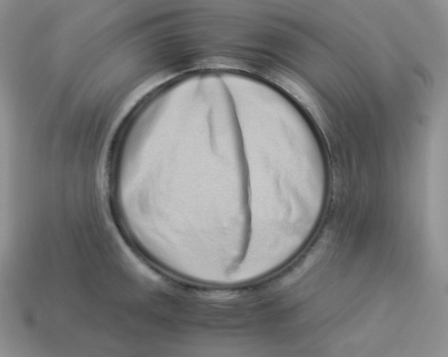 X0000113911141200910151412