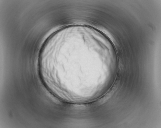 X0000113911142200910151412