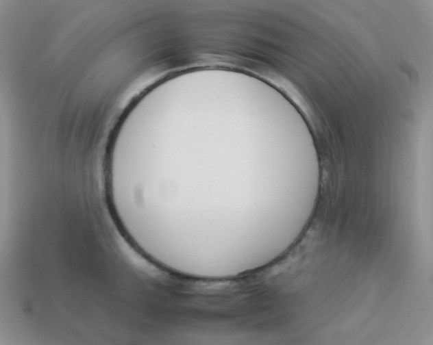 X0000113911143200910151412