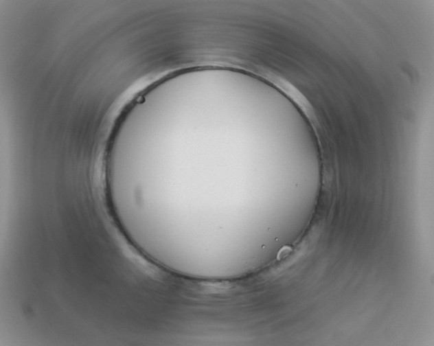 X0000113911144200910151412