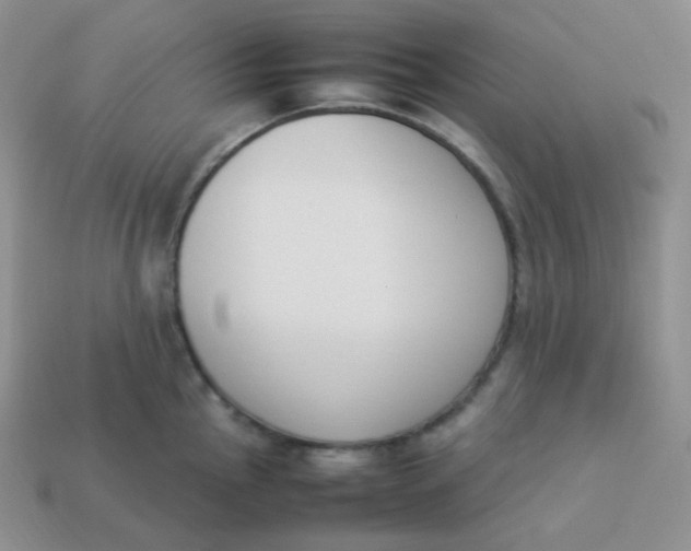 X0000113911145200910151412