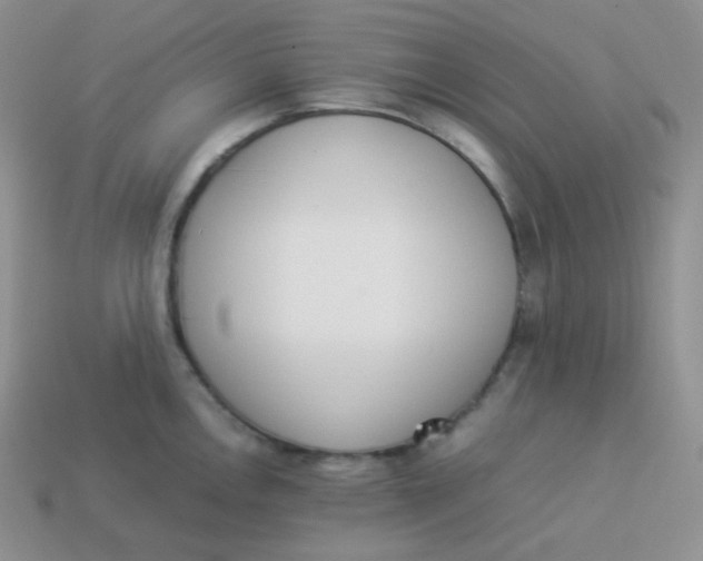 X0000113911146200910151412