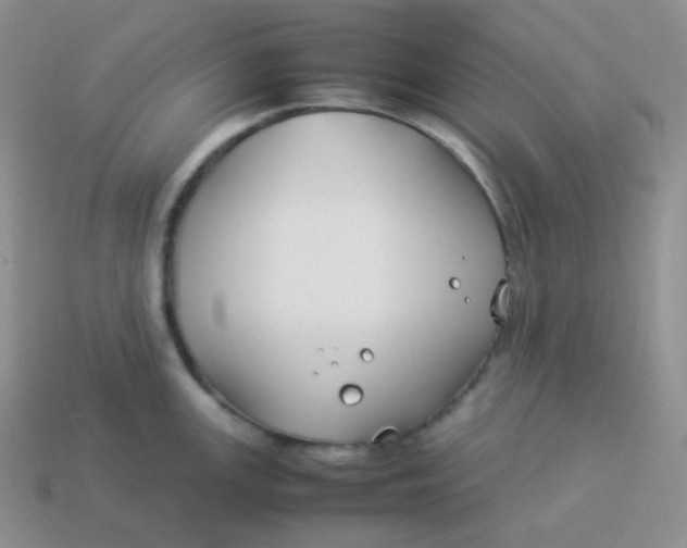 X0000113911147200910151412