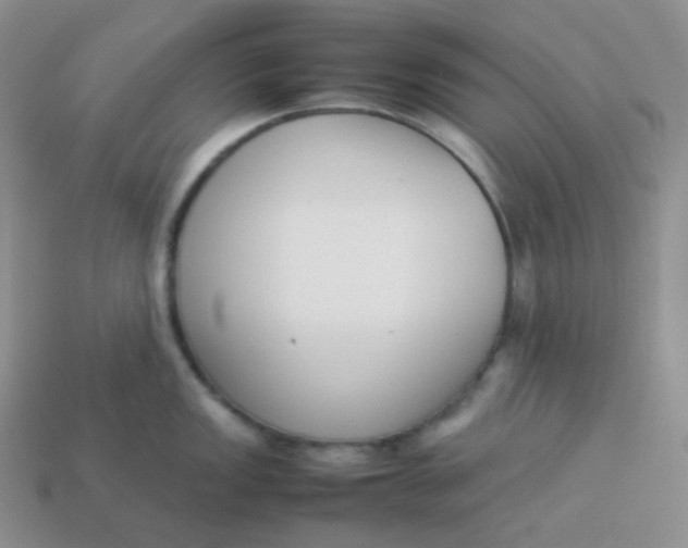 X0000113911149200910151412