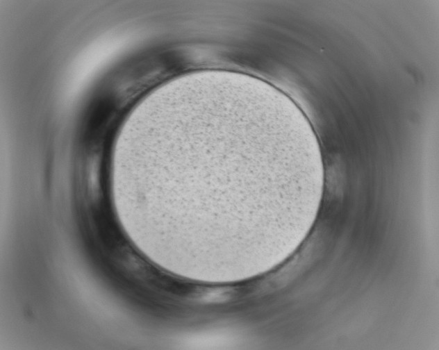 X0000113911150200910151412