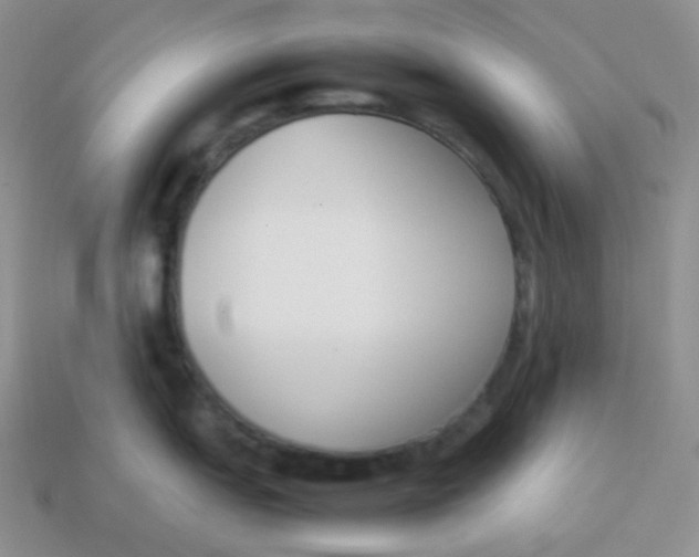 X0000113911151200910151412