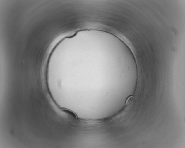 X0000113911152200910151412