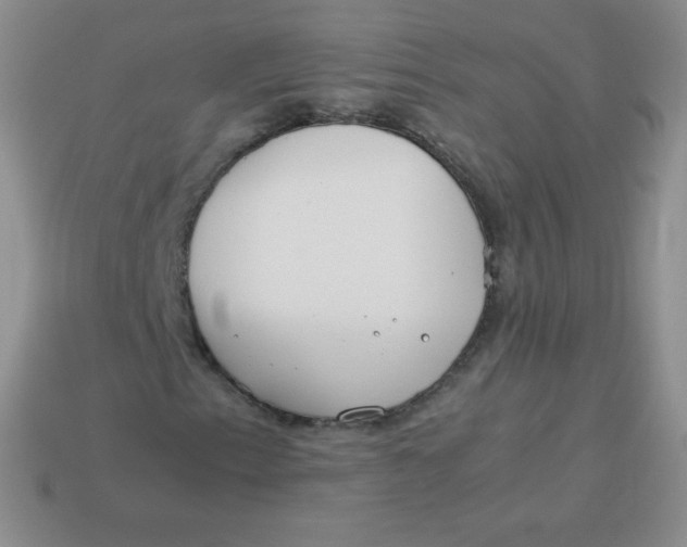 X0000113911153200910151412