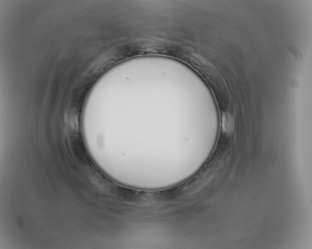 X0000113911155200910151412