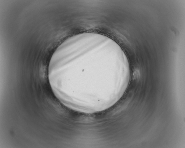 X0000113911156200910151412