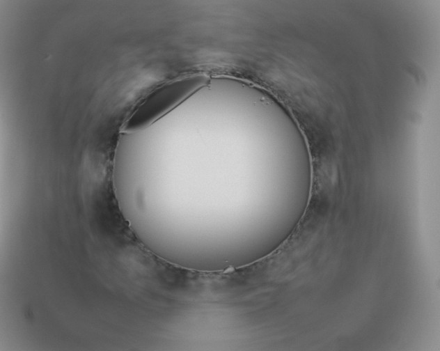 X0000113911157200910151412