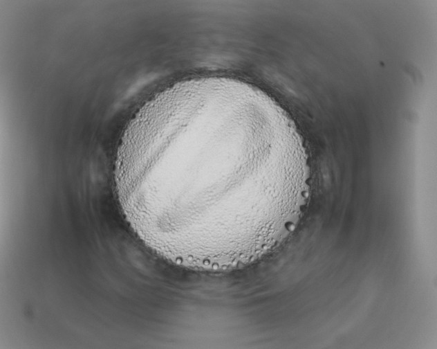 X0000113911158200910151412