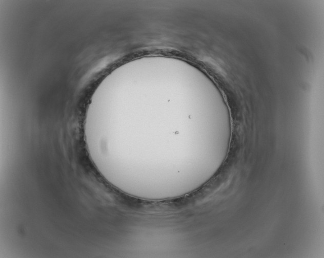 X0000113911159200910151412