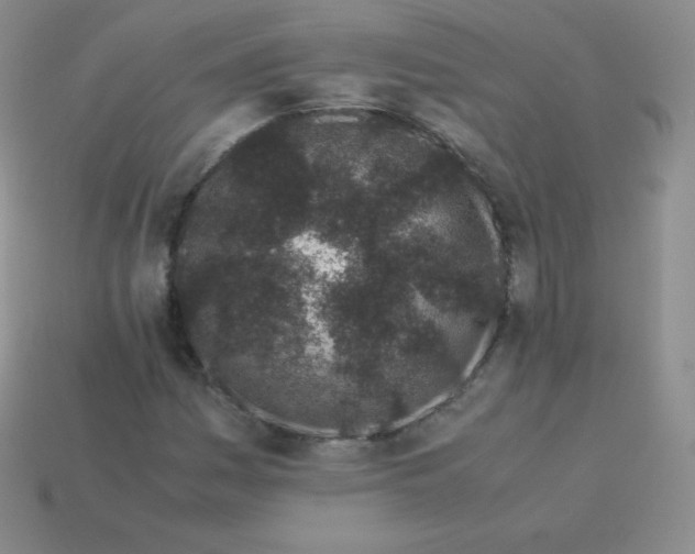 X0000113911161200910151411