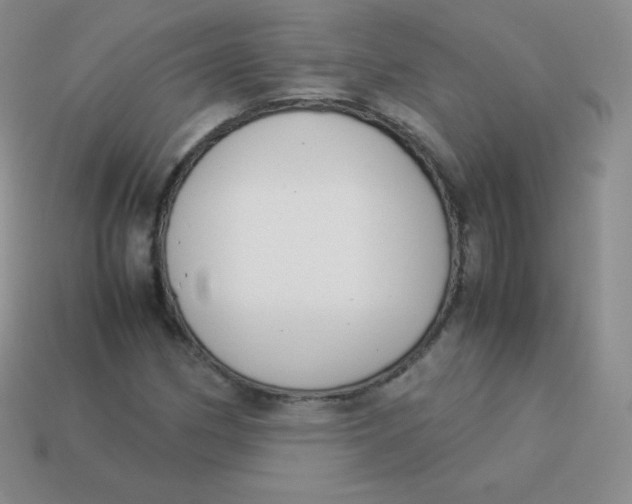 X0000113911162200910151411