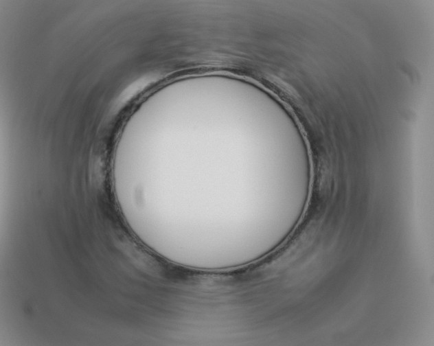 X0000113911163200910151411