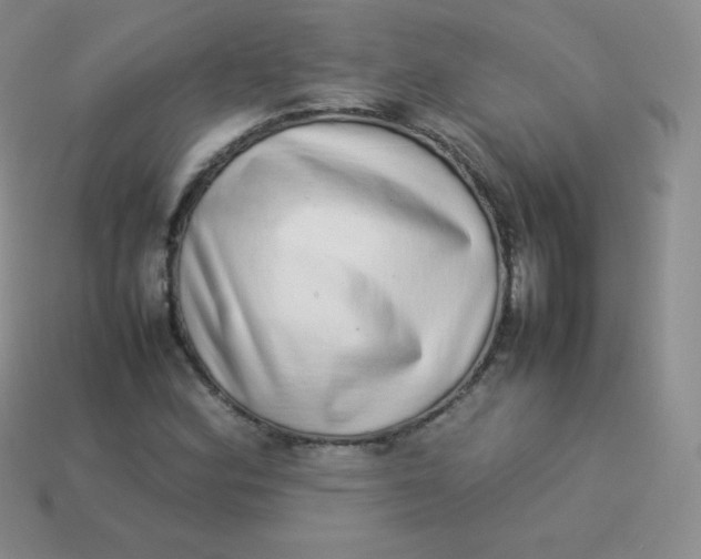 X0000113911164200910151411