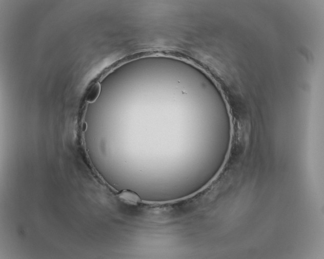 X0000113911165200910151411