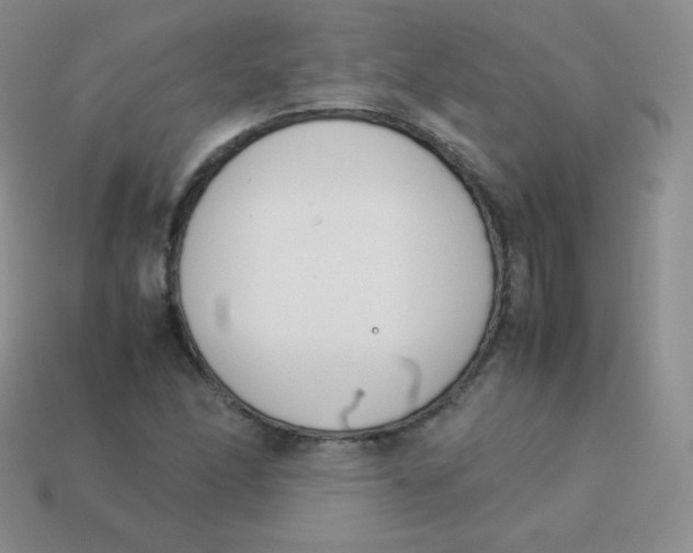 X0000113911166200910151411