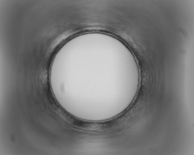 X0000113911167200910151411