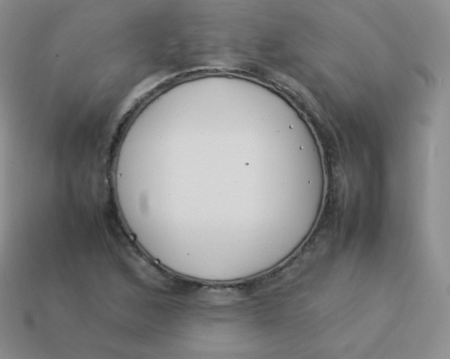 X0000113911168200910151411