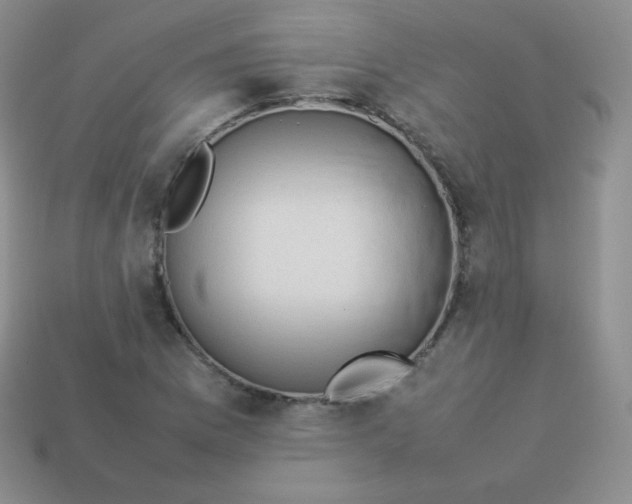 X0000113911169200910151411