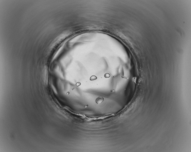 X0000113911171200910151411