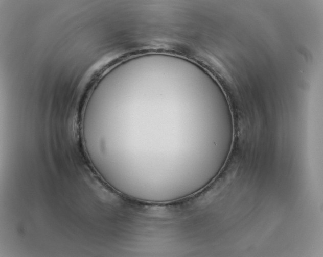 X0000113911172200910151411