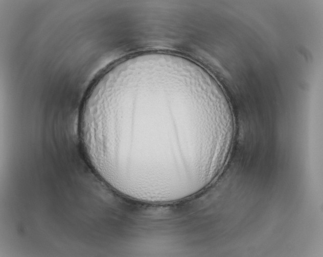 X0000113911174200910151411